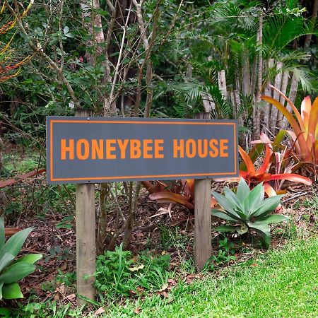 キュランダ Honeybee Houseヴィラ エクステリア 写真